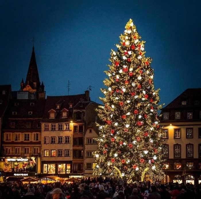 Gites Spa Strasbourg - Villa Ours - Spa Prive, Sauna, Borne D'Arcade, Babyfoot Ittenheim Ngoại thất bức ảnh